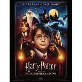 Harry Potter 20 Years Of Movie Magic - Art Print