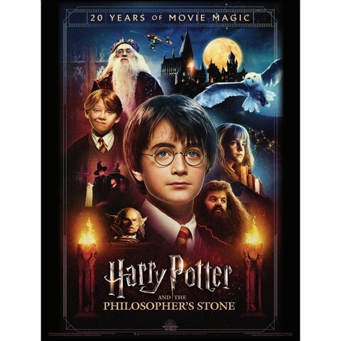 Harry Potter 20 Years Of Movie Magic - Art Print