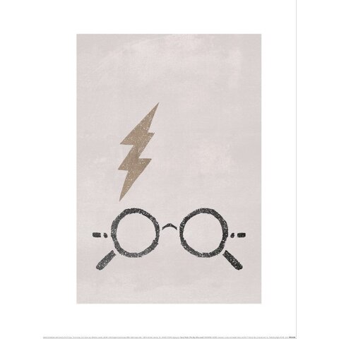 Harry Potter The Boy Who Lived - Art Print