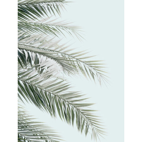 Palms And Blue Skies - Art Print