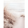 Sandy Dunes - Art Print