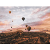 Hot Air Balloons - Art Print