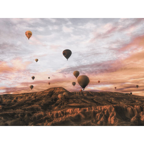 Hot Air Balloons - Art Print
