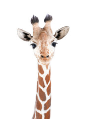 Produits associés au mot-clé giraf art print
