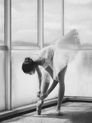 Products tagged with ballet art print