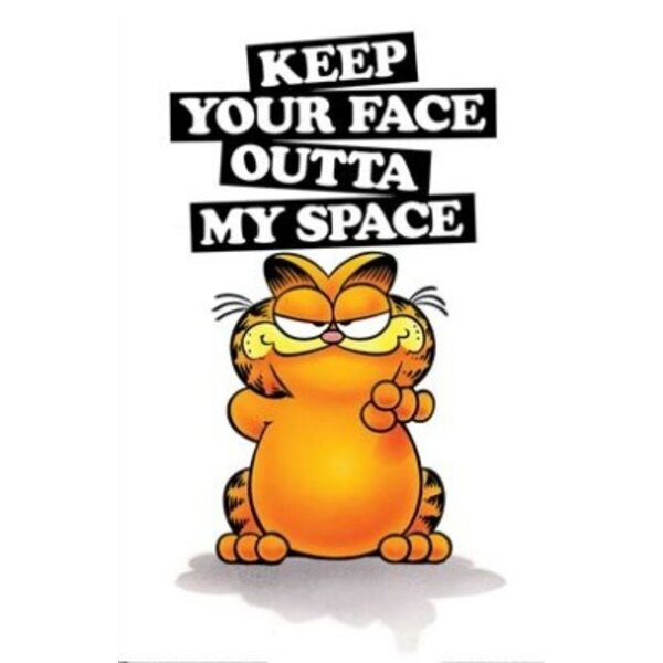 Garfield Keep Your Face - Maxi Poster