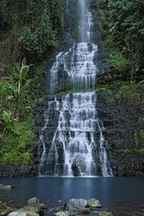 Produits associés au mot-clé Natuur