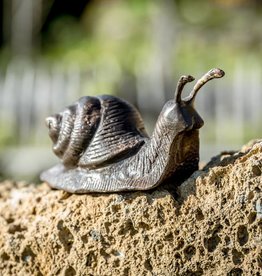 Schnecke kriechend