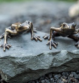 Waldfrosch-Pärchen