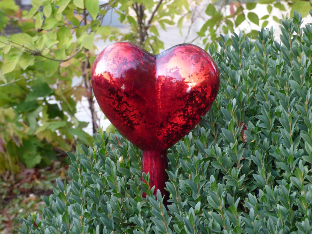 Strahlend rotes Herz aus Glas mit Holzstab