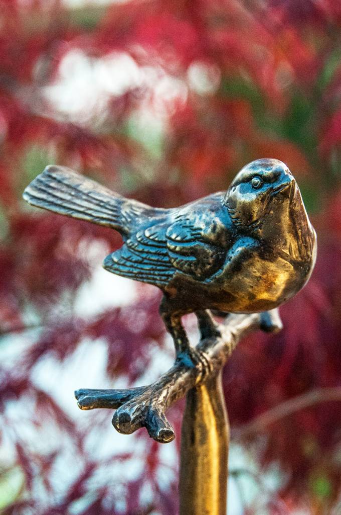 Spatz auf Ast sitzend