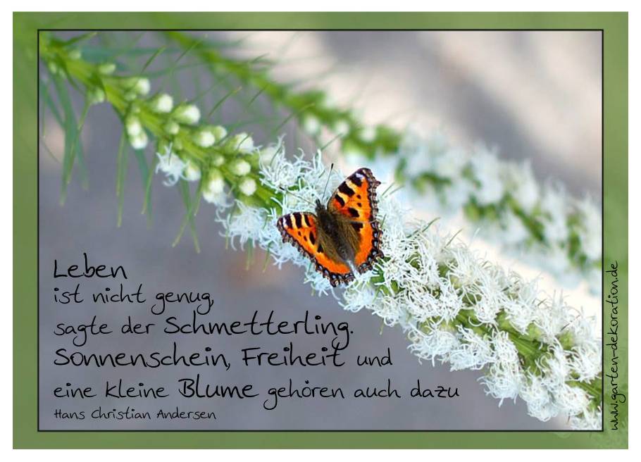 Postkarte &quot;Das Leben ist nicht genug, sagte der Schmetterling&quot; Gärten für Auge &amp; Seele