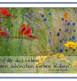Postkarte "Lass dir das Leben in den schönsten Farben blühen"