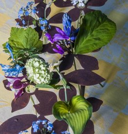 Tischdeko "Blumen" mit 10 Reagenzgläser