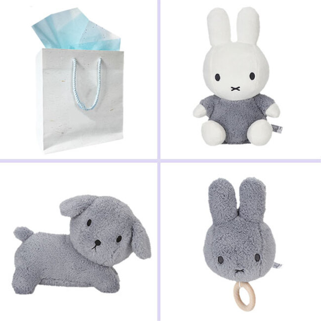 Nijntje  kraamcadeau pakket jongen Platinum