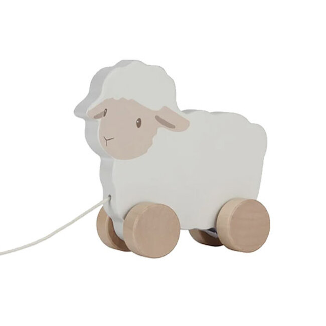 Little Dutch kraamcadeau pakket Rosa Silver