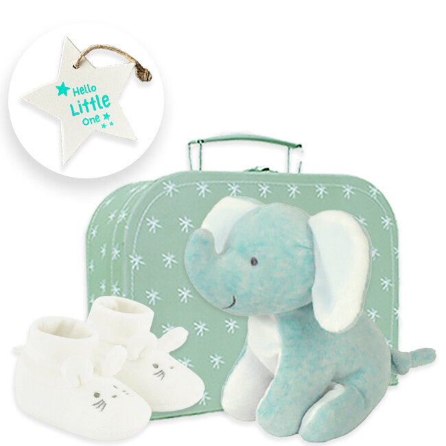 Kraamcadeau uni koffertje groen Silver