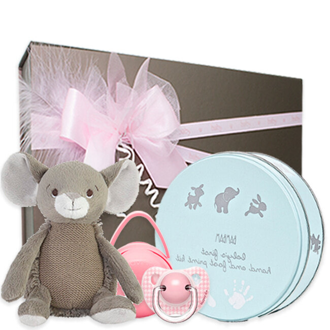 Kraamcadeau meisje geschenkset Silver