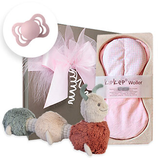 Kraamcadeau meisje geschenkset Platinum