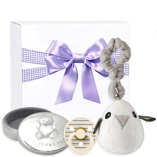 Kraamcadeau uni geschenkset Silver Haarlokdoosje