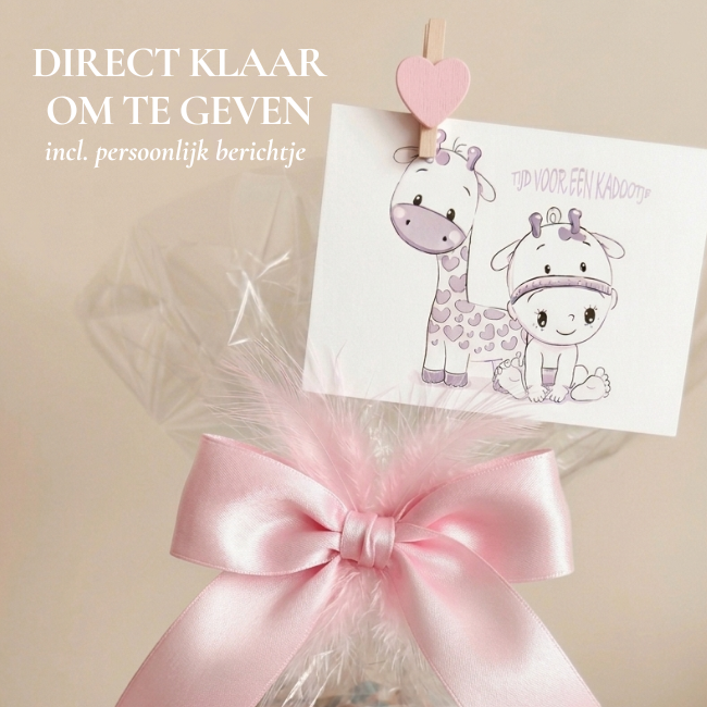 Kraamcadeau meisje pakket Silver