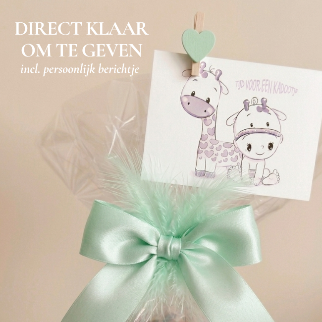 Kraamcadeau uni pakket Silver