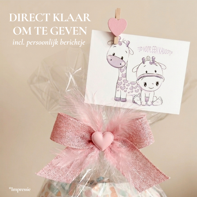 Little Dutch kraamcadeau pakket Fairy Garden meisje Silver