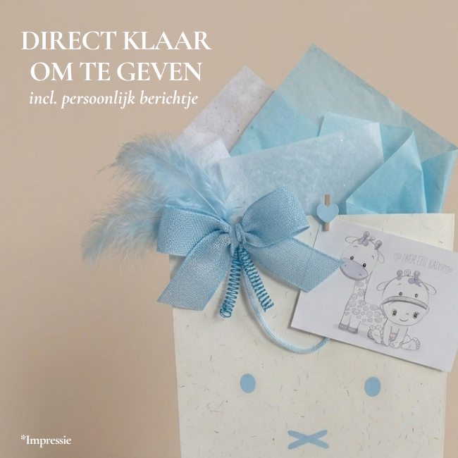 Nijntje  kraamcadeau pakket jongen Silver
