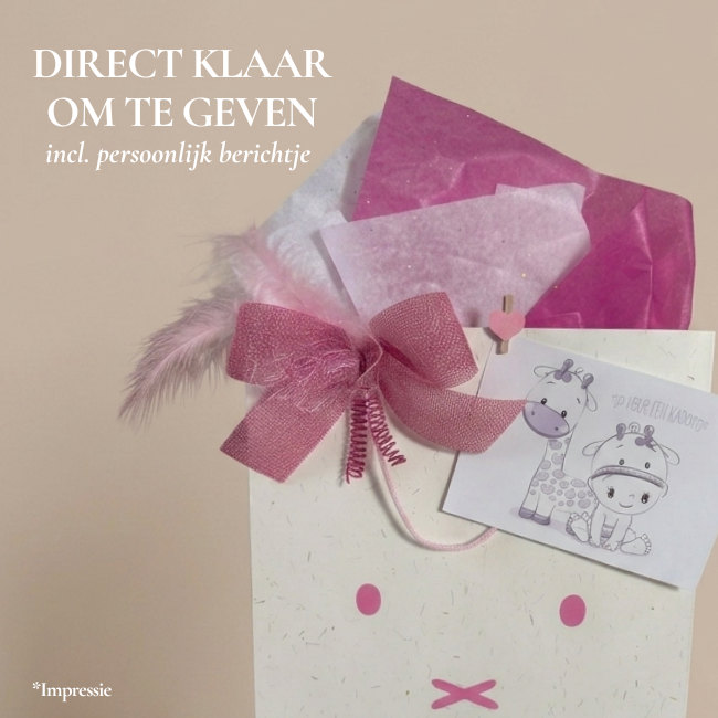 Nijntje  kraamcadeau pakket meisje Platinum