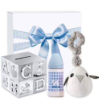 Kraamcadeau jongen geschenkset Platinum Spaarpot