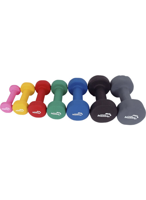 Mambo Mambo Max dumbbells vinyl