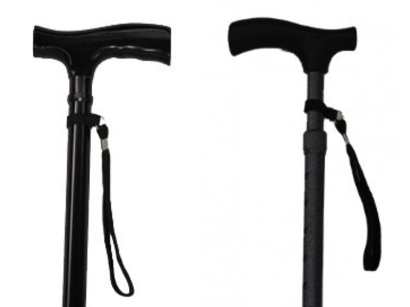 Pluviose Walking stick 2-piece - standard handle