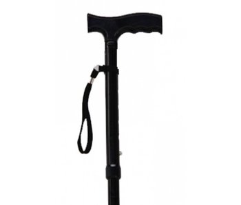 Pluviose walking stick 5-piece, foldable