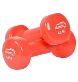 Dumbbell