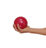 Verzwaarde bal oefentherapie – therapiebal met gewicht