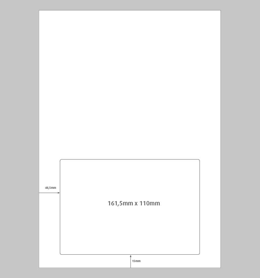 Verzendformulier 1 etiket 161,5x110mm