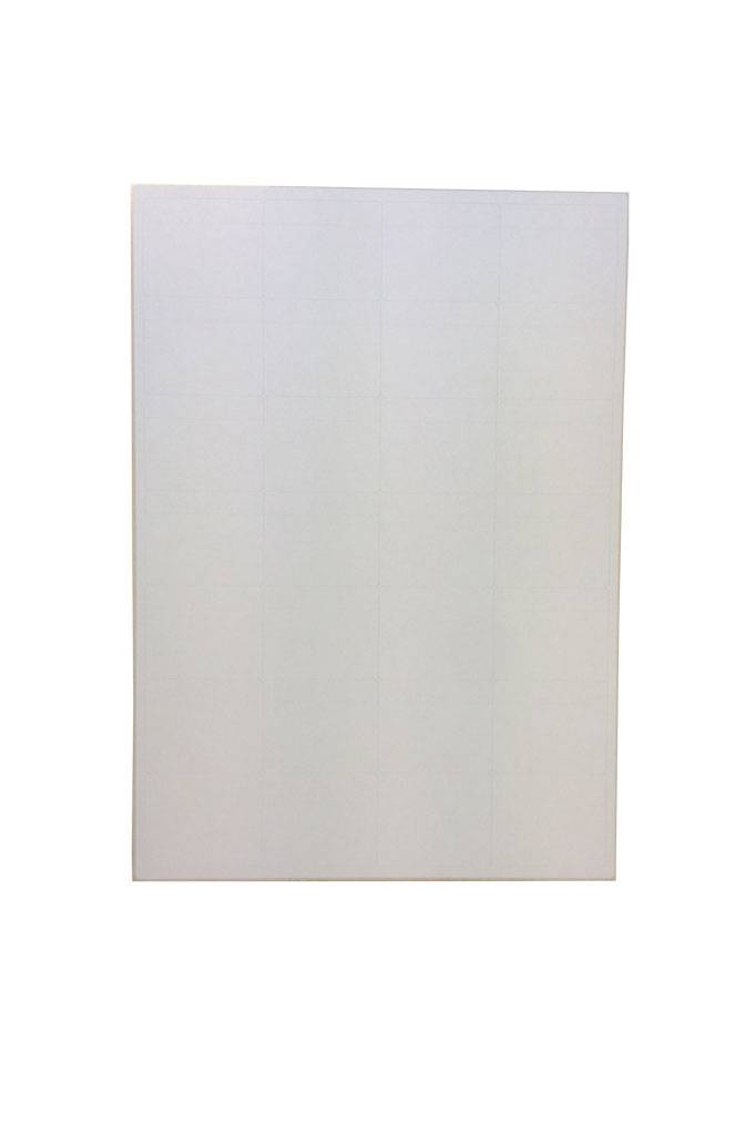 Laser A4 piggyback 50x40,5mm