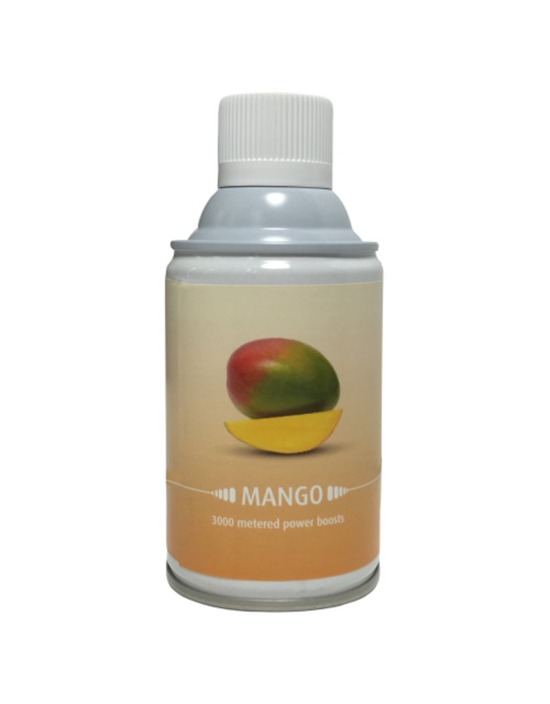 Désodorisant Mangue 243ml x 1