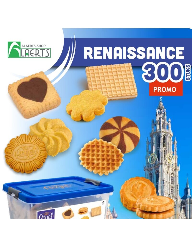 Renaissance Box Mix 300pcs
