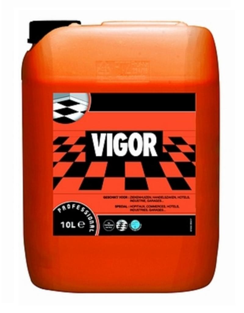 Vigor 10L