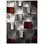 Vloerkledenwebshop.nl Amy 21609 red
