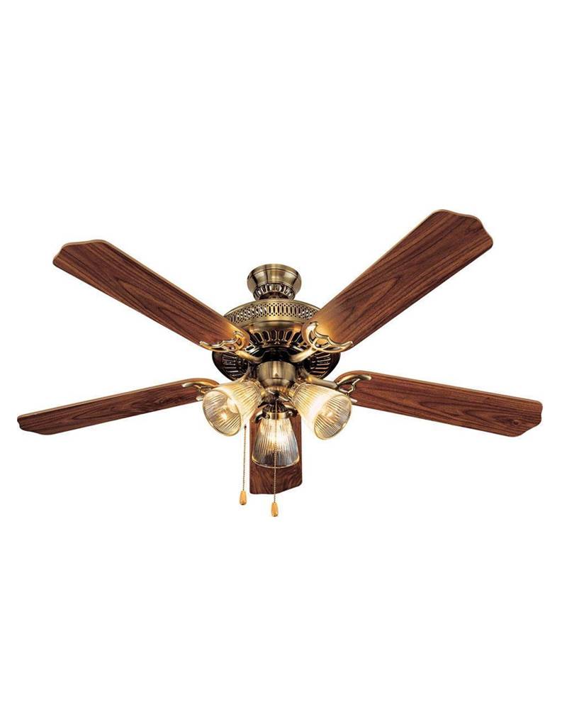 DreamCenter Selling Fan