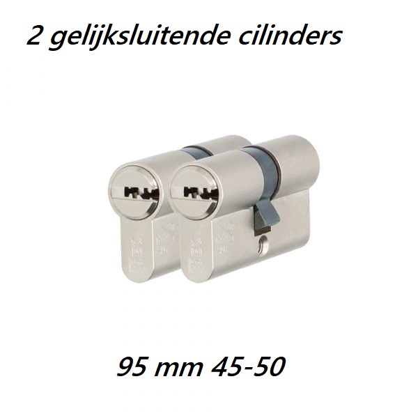 S2skg**F2 2 gelijksluitende cilinders 95 mm 45/50 hs met 6 veilige keersleutels