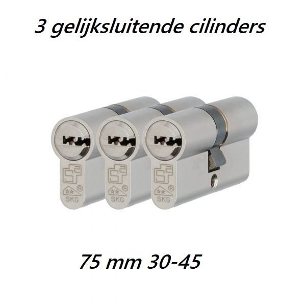 S2skg**F2 3 gelijksluitende cilinders  75 mm 30/30 hs met 9 veilige keersleutels