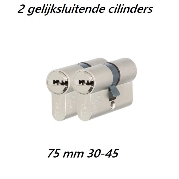 S2skg**F2 2 gelijksluitende cilinders skg**f6 75 mm 30/45K met 6 veilige keersleutels