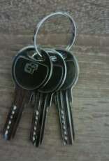 S2skg**F2 cilinder60 mm 30/30 met 3 keersleutels (putsleutels) - Copy