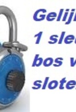 ISEO F6 SKG*** Cilinder 100 mm 30-70 3 sleutels