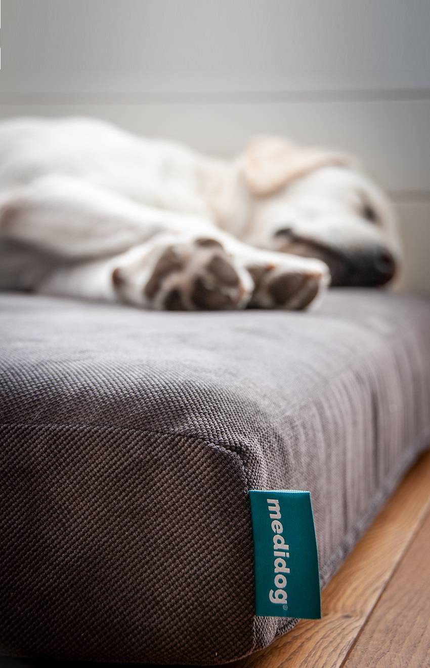 globaal luister alleen MediDog | Beste orthopedisch hondenkussen - Orthopedischhondenkussen.nl