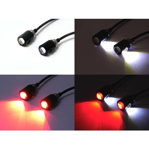 LED license plate light with taillight