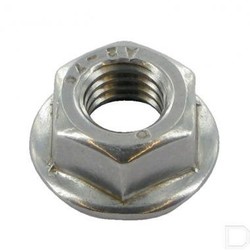 M8 Stainless Steel Flangenut